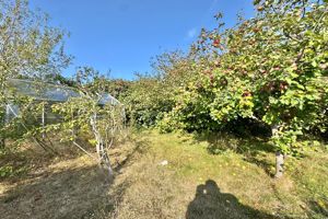 Photo 12- click for photo gallery